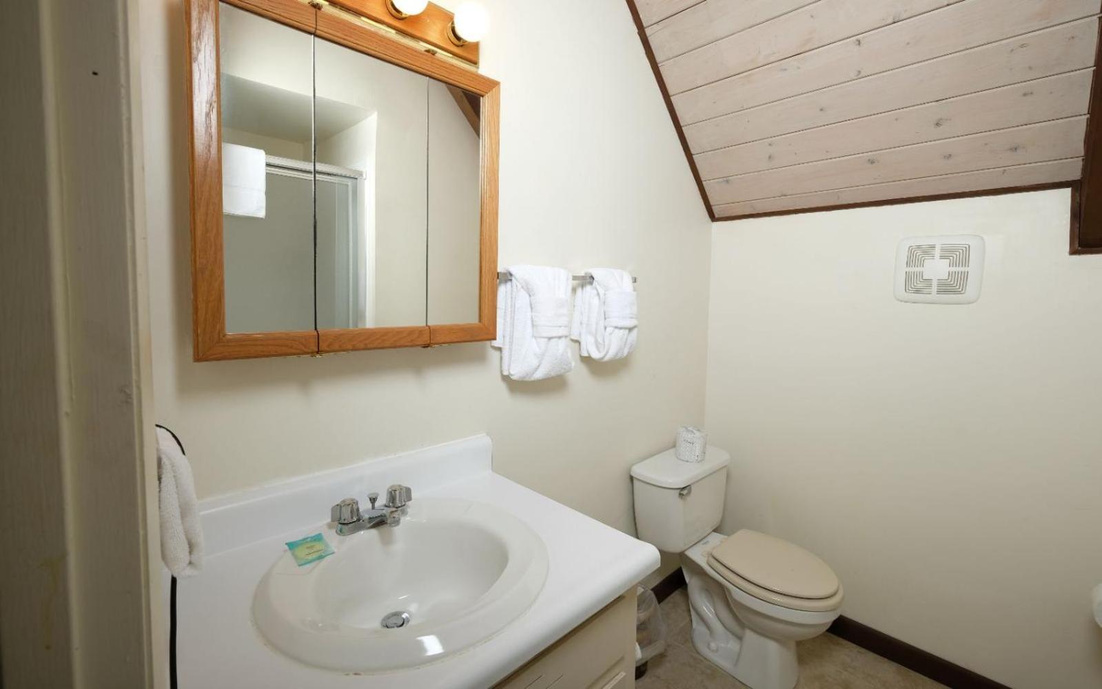Villa Cozy Bear 856 Gatlinburg